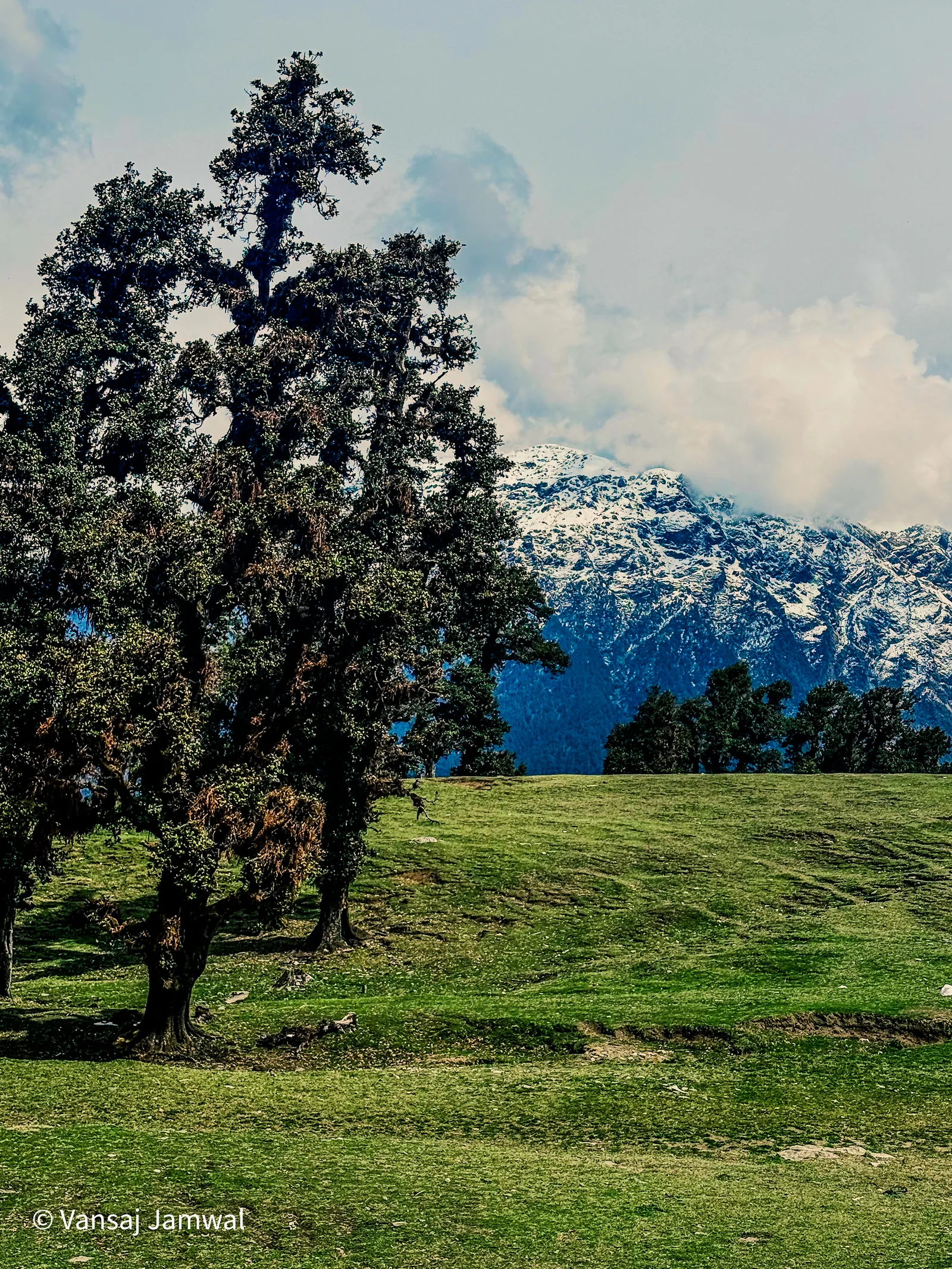 Kasol, A meadow under the snowline