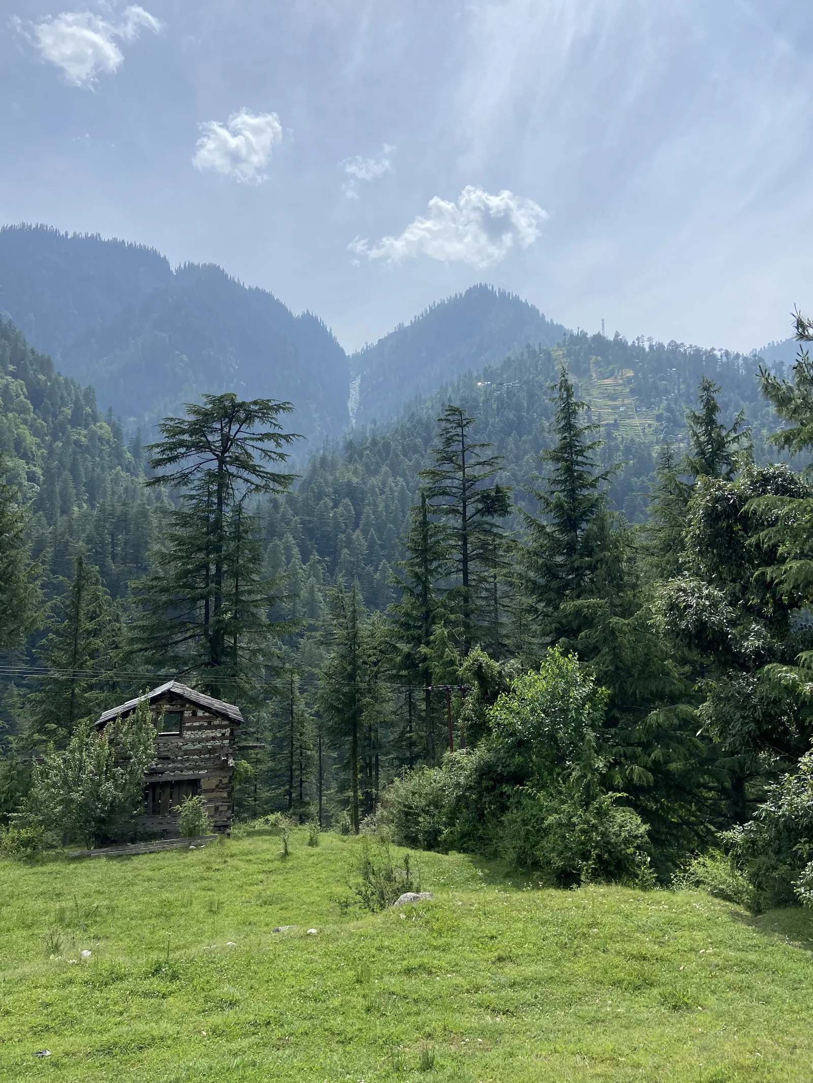 Kasol, A wooden house below the pines